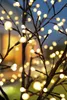 LED Lichterbaum mit 500 warm-weißen Lichtern beleuchtet, Produktbild-Vorschau 3