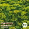 Samenliebe  Fenchel Samen | Teefenchel - winterhart & Produktbild-Vorschau 4