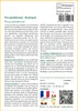 SAFLAX  - Pin ponderosa - 20 graines - Pinus Voir les images du produit 3