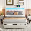 Fortuna Lai Polsterbett Doppelbett 160x200cm mit 4 Produktbild-Vorschau 3