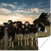 MuchoWow® Poster Tiere - Kuh 50x50 cm - Produktbild-Vorschau 1