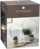 The image shows the packaging of decorative glass cloches with plants inside. Produktbild-Vorschau
