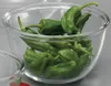 Luminarc Salatschüssel / Rührschüssel / Mischschüssel Produktbild-Vorschau 5