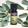 Huile parfumée 10ml Grand choix II Lampe parfumée Pierre Voir les images du produit 7