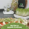 Vitaja Sprossenglas Keimglas 2er Set mit Keramikschale - Produktbild-Vorschau 6