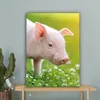 MuchoWow® - Leinwandbilder - Tiere - Ferkel - Schwein, Produktbild-Vorschau 4