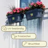 Geländerkasten Balkon mit Wasserspeicher Blumentopf Zaun Produktbild-Vorschau 5