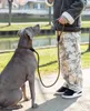 A person is holding a dog leash while standing next to a dog by a canal. Anteprima dell’immagine prodotto