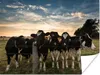 MuchoWow® Poster Kühe - Tiere - Bauernhof 160x120 cm - Foto Produktbild-Vorschau 1