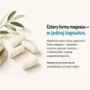 Komplex hořčíku s vitamínem B6 ve vysoké dávce – 4 Náhled obrázku produktu 20