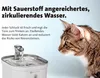 Molly&Cody Spring Trinkbrunnen 2L Haustier Wasserspender Produktbild-Vorschau 2