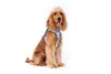 Curli Clasp Vest Geschirr Glow Reflective Gray, Größe: M Produktbild-Vorschau 12