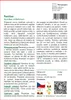 SAFLAX - řebříček - Achillea millefolium - 200 Semena Náhled obrázku produktu 3