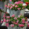 Metallwanne verzinkt mit Griffen - Blumenübertopf Produktbild-Vorschau 2