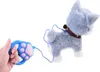 A hand holding a blue leash with a paw print design, attached to a plush toy husky dog. Produktbild-Vorschau