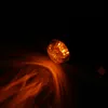 HIGHSIDER pro Micro-Bullet LED indikátor, černé pouzdro / Náhled obrázku produktu 7