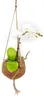 Kokodama Phalaenopsis (L) Náhľad obrázku produktu 7