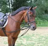 Covalliero Dreieckszügel, Ausbinder, Wienerzügel, Full, Produktbild-Vorschau 4