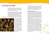 Auch Bienen haben Schweißfüße Produktbild-Vorschau 2