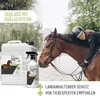 Bremsen Stop Spray 6L - XL Set Kanister mit Sprühflasche Produktbild-Vorschau 5