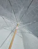 The underside of an open umbrella with a leaf pattern. Produktbild-Vorschau