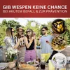 BIODELTA Wespenspray - Wespen effektiv bekämpfen - Produktbild-Vorschau 5