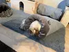 Schlafsack Charles Silber Schlafhöhle Kaninchen Produktbild-Vorschau 7