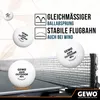GEWO Tischtennisbälle Outdoor 40+, 6er Set, wasserabweisend Produktbild-Vorschau 4