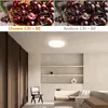 A split image showing cherries under different lighting conditions, and a modern living room with a ceiling light. Náhľad obrázku produktu