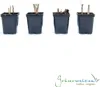 4 x Riesen Chinaschilf, ideal als Hecke und Sichtschutz, Produktbild-Vorschau 5