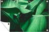 MuchoWow® Produktbild-Vorschau 1