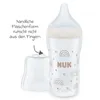 NUK Perfect Match Babyflasche | Ab 3 Monate | Passt sich Produktbild-Vorschau 8