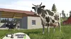 Landwirtschafts-Simulator 26  Spiel für Nintendo Switch  AT Produktbild-Vorschau 3