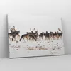Bild auf Leinwand - Leinwandbild - Hirsch Winter Tierwelt Produktbild-Vorschau 4