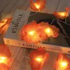 Guirlande lumineuse d'Halloween avec citrouille Feuille Voir les images du produit 2