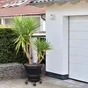 JOIEYOU Plantenrollers, 2 stuks. Plantenroller, rond, Productafbeelding-voorbeeld 3