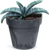 Prosperplast Blumentopf - Betonoptik - anthrazit - Produktbild-Vorschau 7