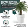 2 x XXL Pflanzkübel / Pflanztopf „LIKE“ Ø79xH70 cm - Weiß - Produktbild-Vorschau 6