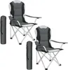 Chaise pliante avec rembourrage - gris, Lot de 2 Voir les images du produit 1