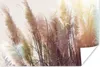 MuchoWow® Poster Stilleben - Farben - Schilf 180x120 cm - Produktbild-Vorschau 1