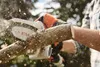 Taille-haie sans fil Stihl GTA 26 12 V 10 cm (GA010116910) Voir les images du produit 20