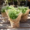 Three potted plants with white flowers are wrapped in burlap and tied with raffia, sitting on a wooden surface. Anteprima dell’immagine prodotto