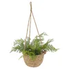 2x Pflanzkorb zum Aufhängen S:Ø22x15cm; M:Ø25x18cm Produktbild-Vorschau 7