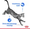 ROYAL CANIN FHN Indoor - mokra karma dla kota dorosłego w Anteprima dell’immagine prodotto 6