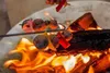 Petromax Lagerfeuer-Spieß ls2 (2 Stück im Set), Spieße, Produktbild-Vorschau 10