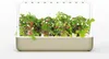 Click & Grow Smart Garden 9, LED, 9 lamp(y) Podgląd zdjęcia produktu 2