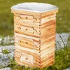Bienenstock, 40 Rahmen, Zander Beute, mit Bienenwachs Produktbild-Vorschau 8