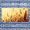 Glasbilder 140x70 Wandbild Druck auf Glas Weizen Pflanzen Produktbild-Vorschau 2