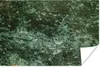 MuchoWow® Poster Eiscreme - Grün - Textur 180x120 cm - Produktbild-Vorschau 1