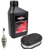 Kit di manutenzione per tosaerba BRIGGS&STRATTON olio 0,6L Anteprima dell’immagine prodotto 2